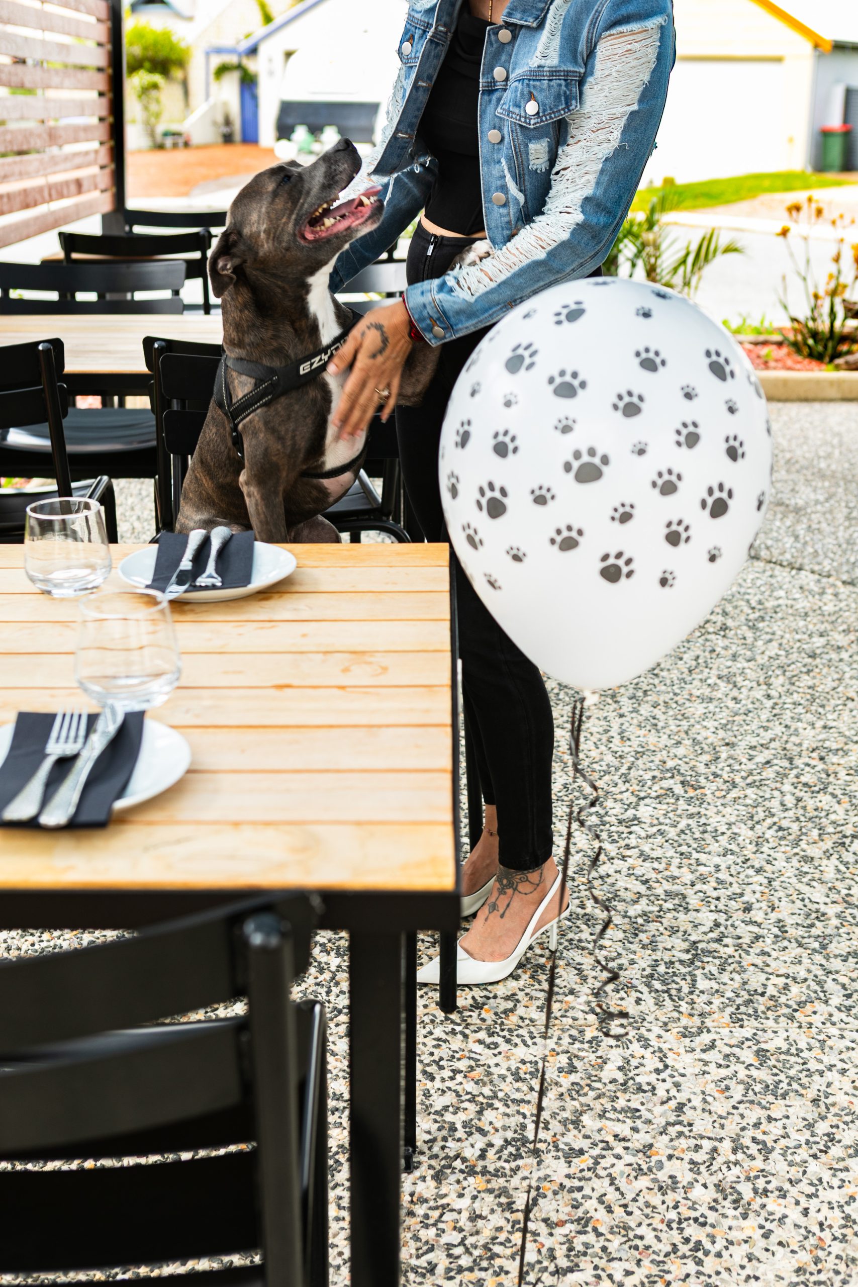 Photo with Dog